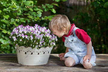 kleiner junge riecht an blumen