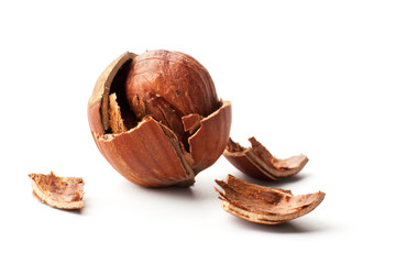 Hazelnut cracked