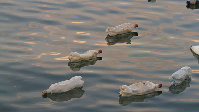 Plastic bottles floating and polluting at river