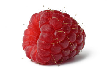 raspberry