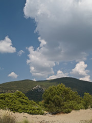 Obraz premium Maremma - Parco dell'Uccellina