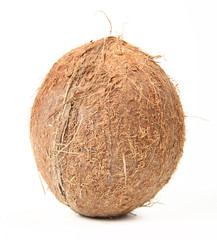 Noix de coco - Cocos nucifera