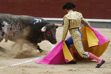 Photo sur Plexiglas Tauromachie Taureau et torero