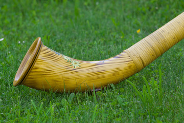 Alphorn