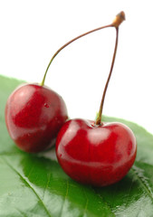 Cherries