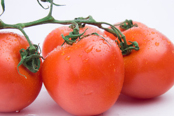 Fresh Tomatoes with branch on white background