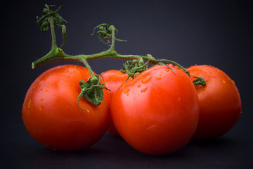 Fresh Tomatoes with branch