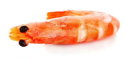 Cooked shelled tiger shrimp isolated on white