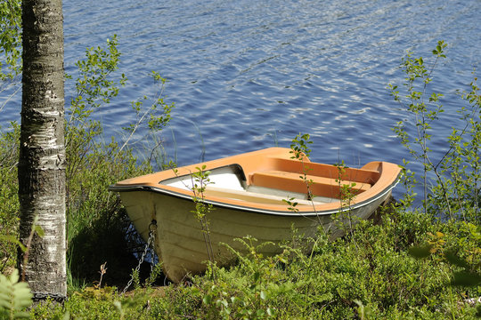Rowing boat moored to a birch tree