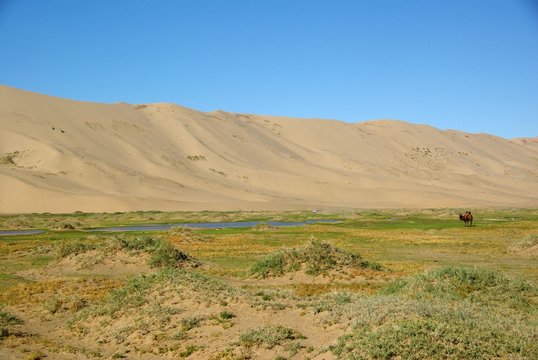 Desert de Gobi, Mongolie