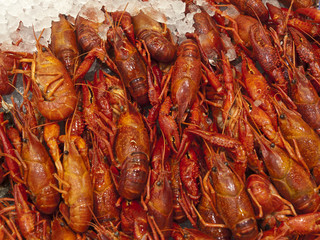 Fresh Crawfish