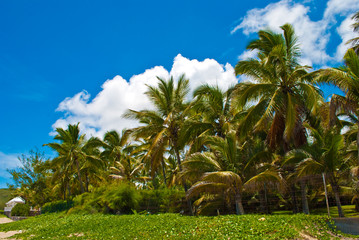 Plage - île de la réunion