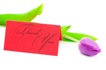 colorful tulips and a card signed thank you isolated on white