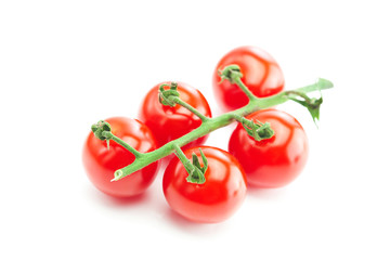 bunch of tomato isolated on white