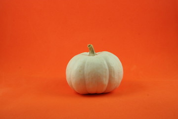 White pumpkin on orange background