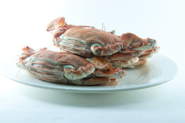 crab
