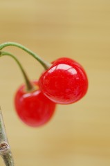 赤いサクランボ