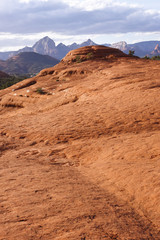 Fototapeta na wymiar Red Rocks of Arizona