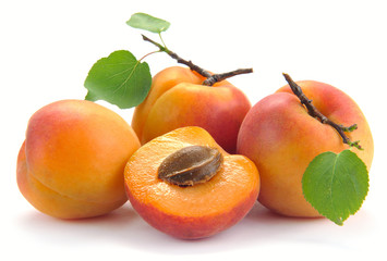Apricot with leaves