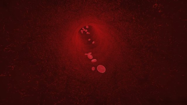 endlose Aderfahrt mit  Erythrozyten