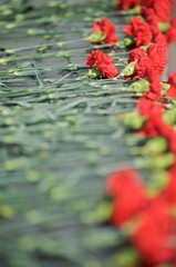 Flowers at the Aloysha War memorial Murmansk