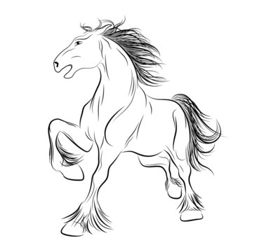 Vector image a horse, tattoo