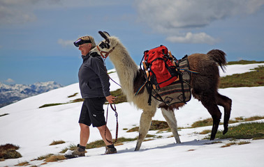 Mein Trekking-Lama - llama trekking © Konstanze Gruber