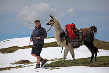 Mein Trekking-Lama - llama trekking © Konstanze Gruber