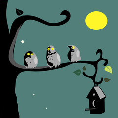 Trois hiboux