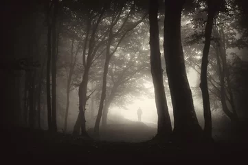 Foto op Plexiglas vreemde figuur van een man die in een donker bos met mist loopt © andreiuc88