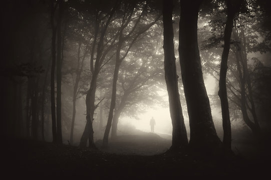 strange figure of a man person walking in a dark forest with fog