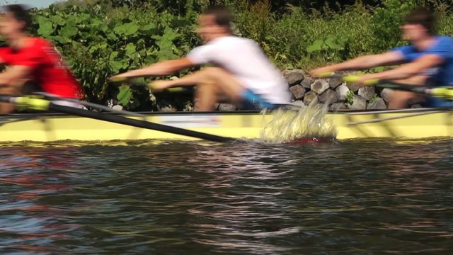 Coxed four rowing