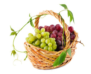 Wicker basket with grapes