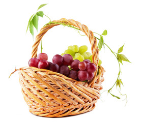 Wicker basket with grapes