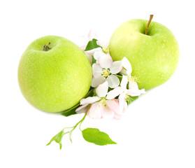 Apples and Flower Blossom
