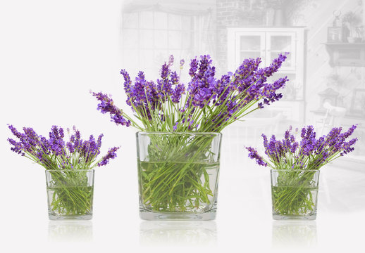 Fototapeta Vasi di lavanda in casa