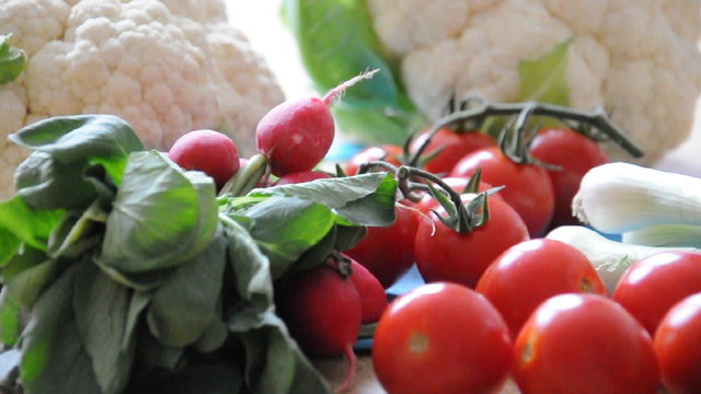 Gem&uuml;se unter der Lupe