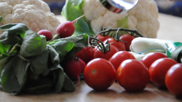 Gem&uuml;se unter der Lupe