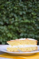 torta allo yogurt