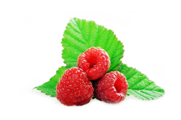 Ripe red raspberries