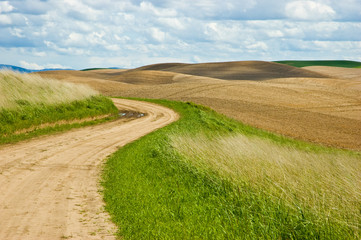 Country road