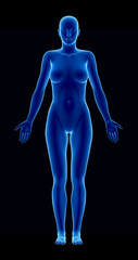 Female figure in anatomical position anteriror view