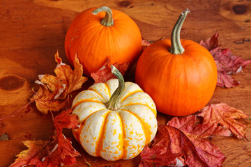 Fall Pumpkins and Decorative Squash