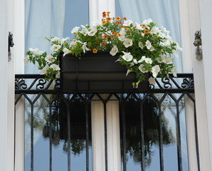 vasi di fiori al balcone