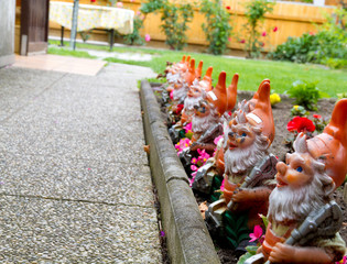 Garden Gnomes