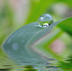 Goutte d'eau.