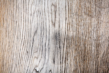 Wood texture