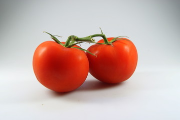 tomaten