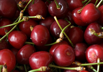 freshly cherries