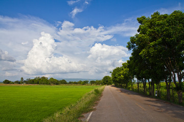 Fototapeta na wymiar Kraj drogi wzdłuż niełuskany w Tajlandii